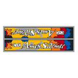 CYC - AMES STORMER 4 color down tube decal - old school bmx - Bmx Products AU