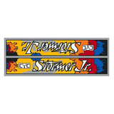 CYC - STORMER JR 4 color down tube decal - old school bmx - Bmx Products AU