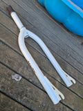 NOS - Mizutani - 20" bmx forks