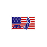 ABA - FLAG with Rider plate decal on clear - old school bmx - Bmx Products AU