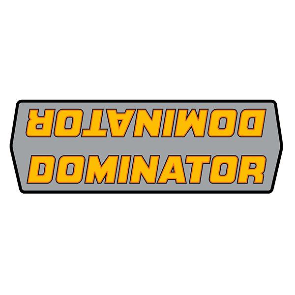 Raleigh - Dominator Dragster Down Tube Decal
